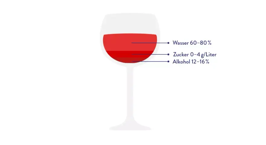 Ein Weinglas mit rotem Wein zeigt die Zusammensetzung: Wasser, Zucker und Alkohol. Der geringe Zuckergehalt beeinflusst die Riesling Kalorien.