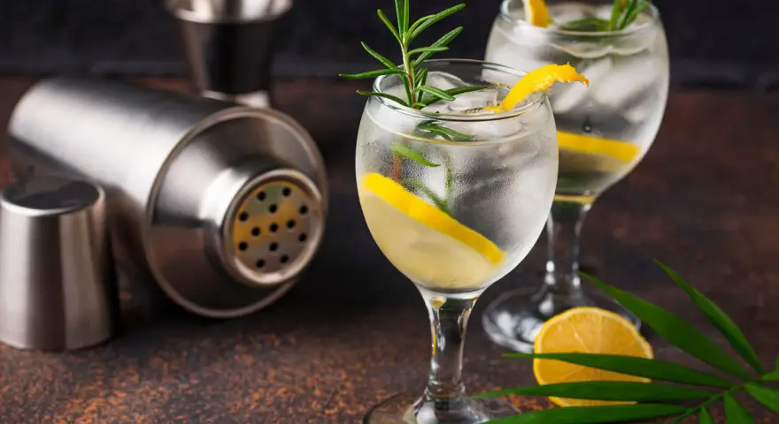 Zwei erfrischende Gin Tonic mit Zitrone und Rosmarin, dane ein Shaker. Perfekt für den Abend, mit dem richtigen Gin Tonic Prozent.