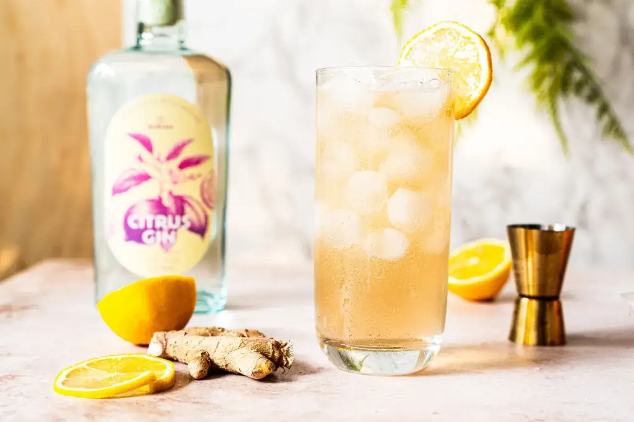 Erfrischender Gin mit Ginger Ale, garniert mit Zitrone. Daneben eine Flasche