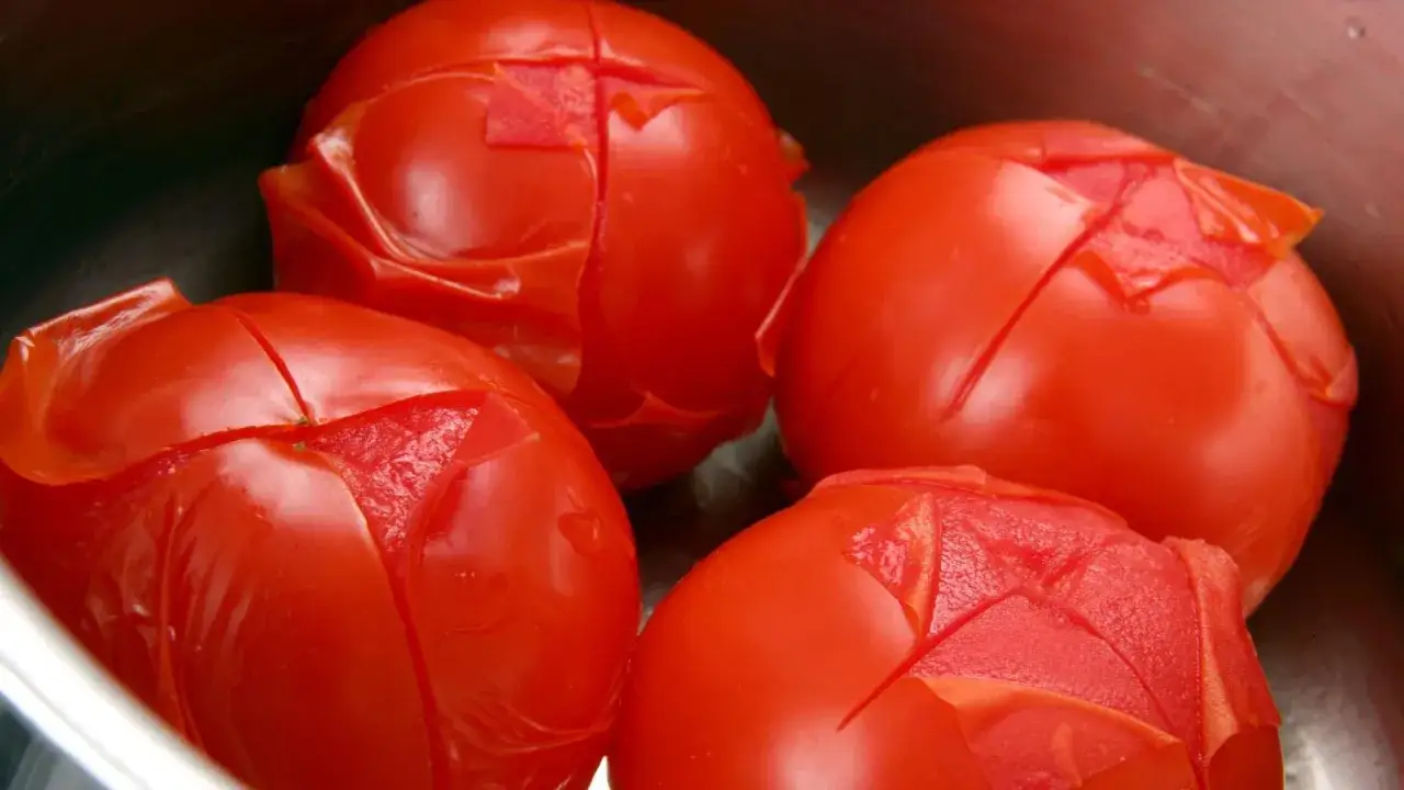 Vier rote Tomaten liegen in einem Topf. Die Haut ist eingeschnitten und beginnt sich zu lösen, bereit zum Tomaten haut abziehen.