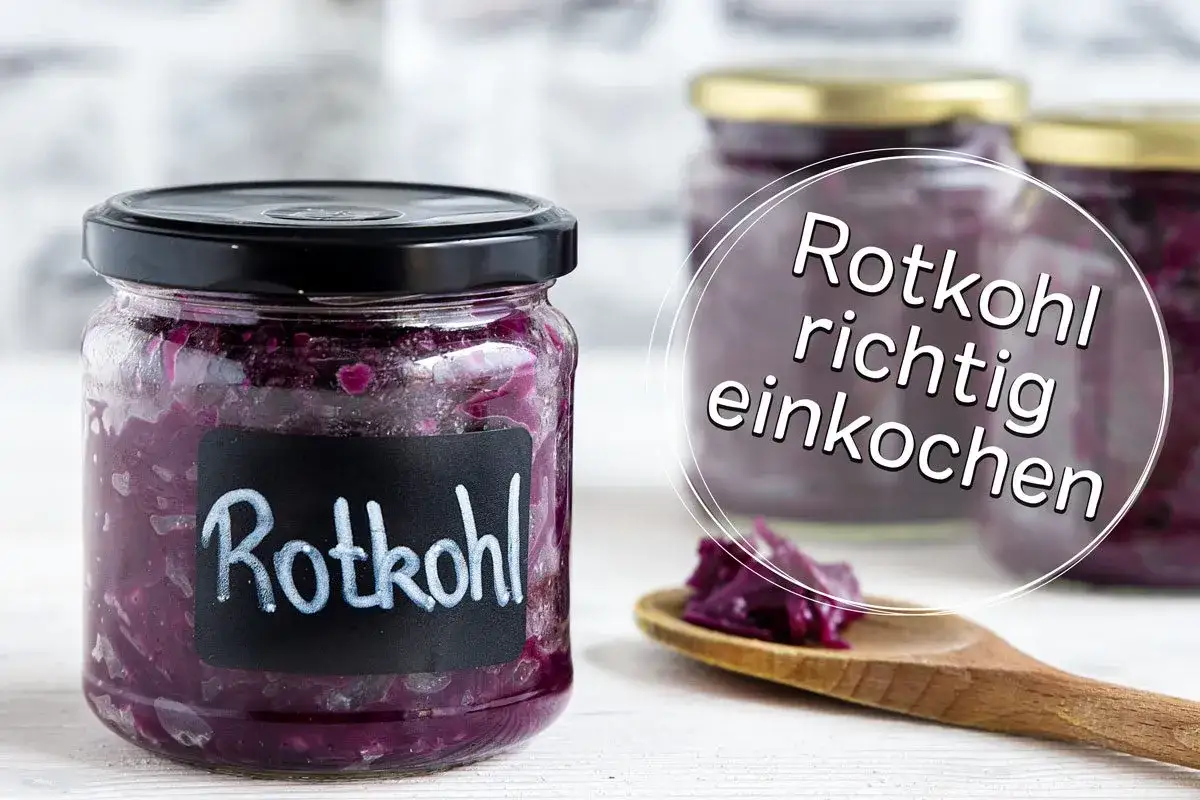 Gläser mit Rotkohl, bereit zum Rotkohl einkochen. Ein Löffel mit Rotkohl liegt daneben.