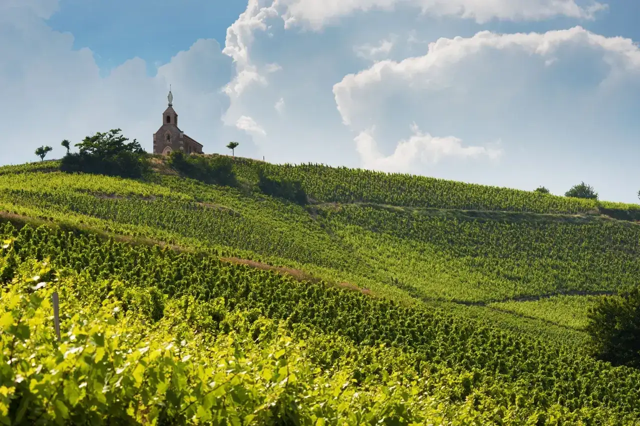 Grüne Weinberge im Beaujolais erstrecken sich über Hügel, gekrönt von einer kleinen Kirche unter blauem Himmel mit weißen Wolken.