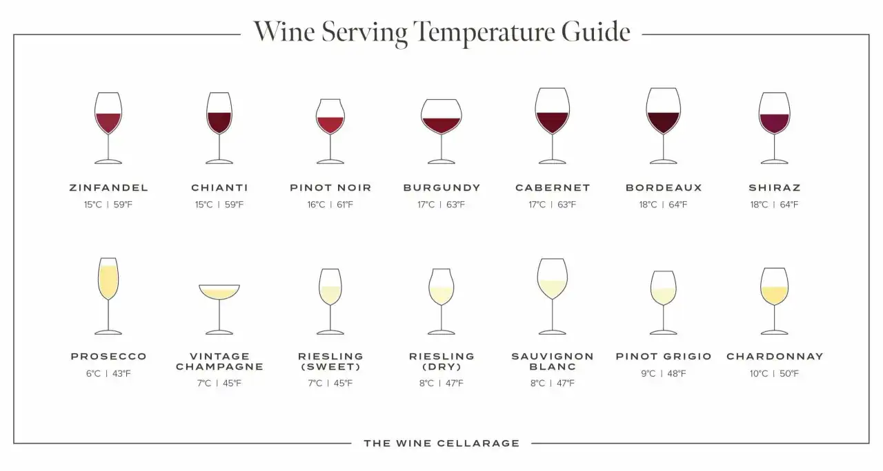 Wein-Serviertemperatur-Guide: Prosecco 6°C, Vintage Champagner 7°C, Riesling 7°C/8°C, Sauvignon Blanc 8°C, Pinot Grigio 9°C, Chardonnay 10°C. Rotweine wie Zinfandel, Chianti, Pinot Noir, Burgundy, Cabernet, Bordeaux, Shiraz zwischen 15°C und 18°C.