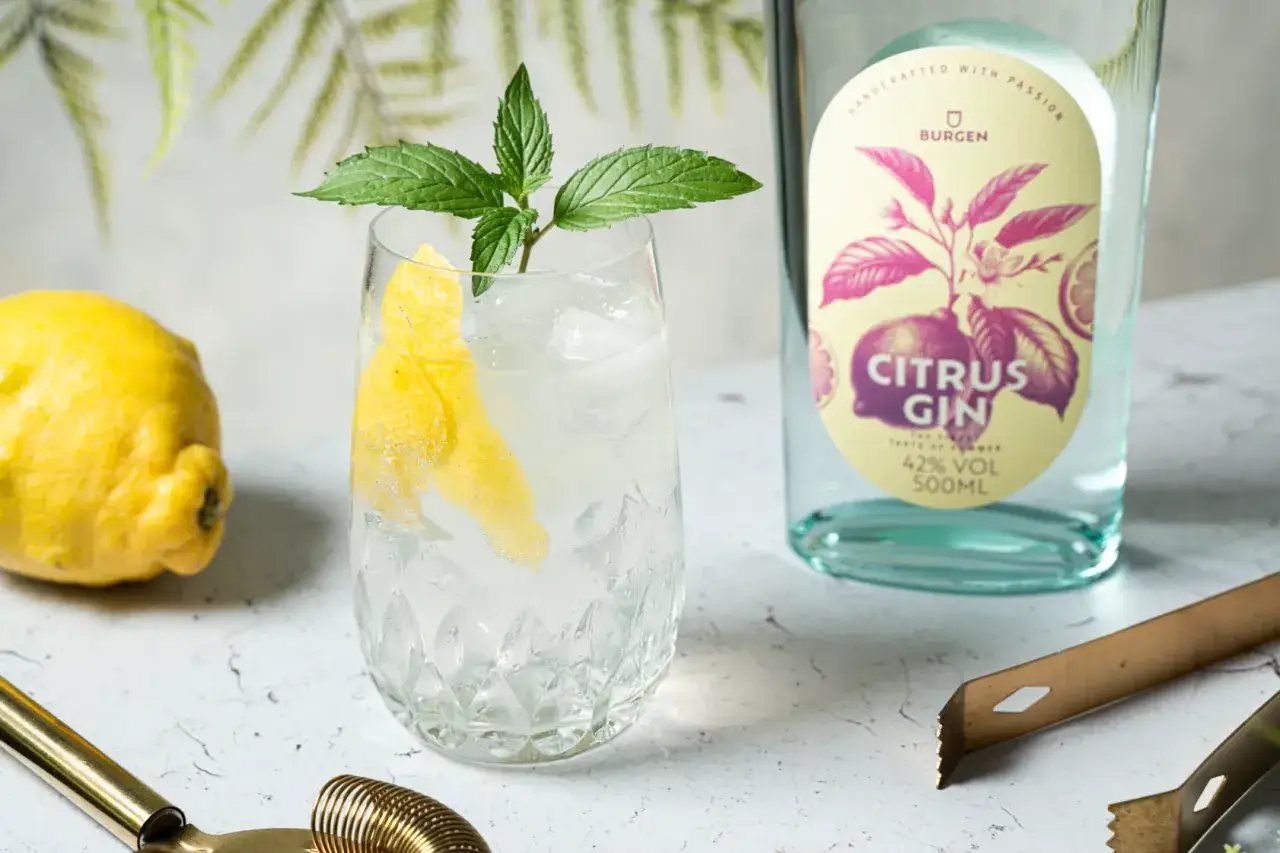 Erfrischender Gin Tonic mit perfektem Gin Tonic Ratio, garniert mit Zitronenschale und Minze. Daneben eine Flasche